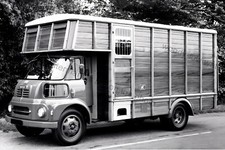 Cv126 livestock transport for sale  EAST COWES