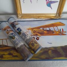 Chesapeake biplane vintage for sale  BALLYCLARE