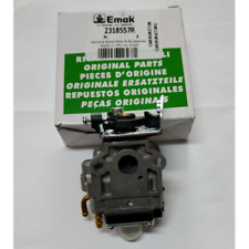 Carburatore decespugliatore ef usato  Sarno