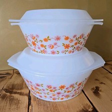 Arcopal scania dishes for sale  SOUTHAMPTON