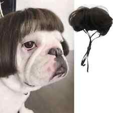 cute short wig for sale cute short wig for sale Bay Shore