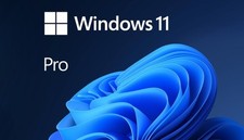 Windows pro versione usato  Italia