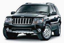 Manuale officina jeep usato  Roma