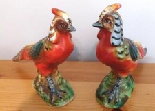 Arco pheasants colorful for sale  Essex