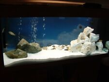 Pure white aquarium for sale  MARCH