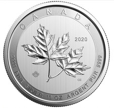 Silver canada maple gebraucht kaufen  Essen