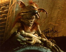 Tony mcvey signed for sale  USA