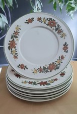 Beilagen teller 18cm gebraucht kaufen  Schenefeld