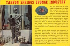 Usa florida tarpon d'occasion  France