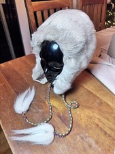 fur hats fur hat for sale fur hats fur hat for sale Barrington