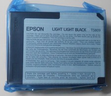 Riginal epson t5809 gebraucht kaufen  Waddeweitz
