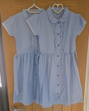 Blue gingham check for sale  ULCEBY