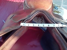 Bates caprilli vsd for sale  TREGARON