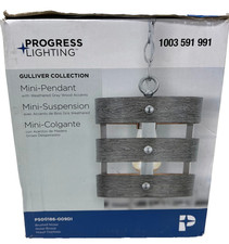 Progress lighting gulliver for sale  Anderson