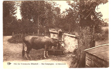 Limousin illustré campagnes d'occasion  Le Chesnay