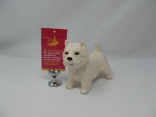 west highland white terrier for sale west highland white terrier for sale STEVENAGE