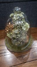 Vintage large terrarium for sale  USA