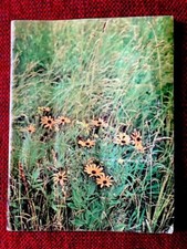 Original woodstock days for sale  Carmel