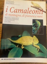 Camaleonti montagna pianura usato  Perugia