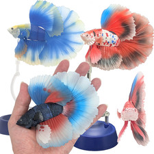 Boneco Bandai Gashapon Betta Fighting Fish 5.1" grande vendedor realista do Japão, usado comprar usado Boneco Bandai Gashapon Betta Fighting Fish 5.1" grande vendedor realista do Japão, usado comprar usado  Enviando para Brazil