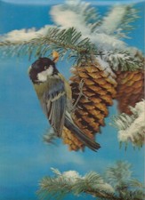 Cartolina lenticolare olografi usato  Lugo