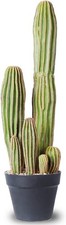 artificial cactus for sale  Windsor Mill