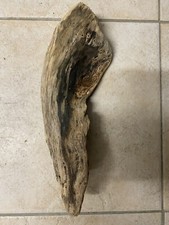 Treibholz schwemmholz driftwoo gebraucht kaufen  Thierhaupten
