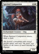 Mtg bloomburrow commander for sale  Saint Paul