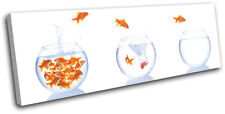 Goldfish bowls animals for sale  UK