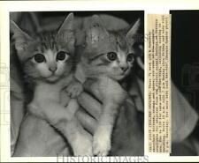 1988 press photo for sale  Memphis