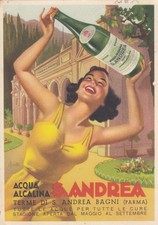 Pubblicitarie acqua alcalina usato  Fiorano Modenese