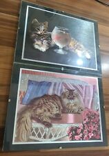 Bilder glitzer katzen gebraucht kaufen  Herborn