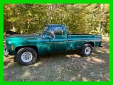 1979 chevrolet pickup for sale  Effingham