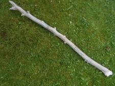 deko schlange gebraucht kaufen  Riedering