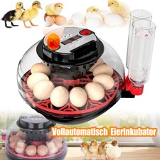 Eier brutautomat vollautomatis gebraucht kaufen  Lehnin