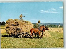 39749907 freiberger zweiergesp gebraucht kaufen  Deutschland
