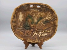 Yellowstone park scenic for sale  Newton