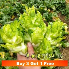30x chinese baby for sale  LANCASTER