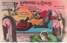 Fantasy language dogs d'occasion  Expédié en Belgium