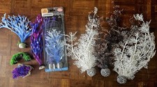 sea fan for sale  LONGFIELD