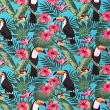 Tropical toucans 100 for sale  PICKERING