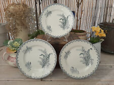 Assiettes plates saint d'occasion  Huningue