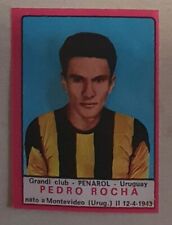 Figurina pedro rocha usato  Reggio Calabria