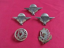 Lot insignes brevets d'occasion  Carentan