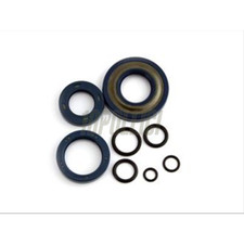 Kit paraoli corteco usato  Italia