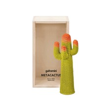 Metacactus guframini gufram usato  Arzignano