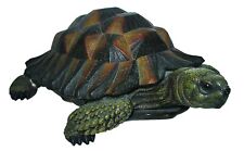 Vivid arts tortoise for sale  COLERAINE