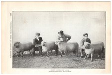 1920 goup southdown for sale  Sacramento