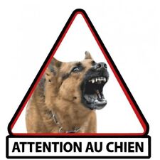 Berger belge malinois d'occasion  France