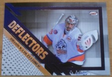 Del 2011 deflectors gebraucht kaufen  Bernau
